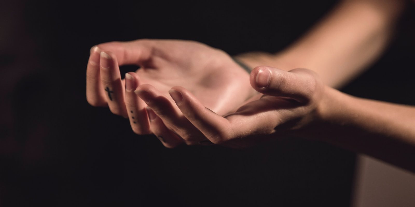 two human palms